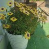 https://cdn-ostrovok-ru-ion.test.edgekey.net/t/100x100/hotel_review/d6/af/d6af817ded7e01dda322f57f656f8c296ebbaece.JPEG