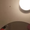 https://cdn-ostrovok-ru-ion.test.edgekey.net/t/100x100/hotel_review/d6/be/d6be07ad72bfe27b1a7eba0dc3fc44a84c9401d4.jpeg