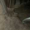 https://cdn-ostrovok-ru-ion.test.edgekey.net/t/100x100/hotel_review/d6/f7/d6f76e4d574fe5e591ee365e38c969d849761c6d.JPEG