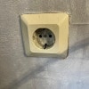 https://cdn-ostrovok-ru-ion.test.edgekey.net/t/100x100/hotel_review/d7/45/d7458de5c2e19b509ff8a991f03006ae167d488a.JPEG