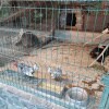 https://cdn-ostrovok-ru-ion.test.edgekey.net/t/100x100/hotel_review/d7/5b/d75b8a33d4360d6c28b9e726bdb3090cfab86383.jpeg