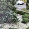 https://cdn-ostrovok-ru-ion.test.edgekey.net/t/100x100/hotel_review/d7/a7/d7a7af4a5986373da15b053faa88db8d9db2ebc1.JPEG