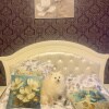https://cdn-ostrovok-ru-ion.test.edgekey.net/t/100x100/hotel_review/d7/f6/d7f61aa678e937626c3a1acf63d281e7600e553b.JPEG