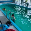 https://cdn-ostrovok-ru-ion.test.edgekey.net/t/100x100/hotel_review/d8/13/d813e7f82499b30a3228e2896e689c0ed527af32.JPEG