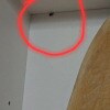 https://cdn-ostrovok-ru-ion.test.edgekey.net/t/100x100/hotel_review/d8/81/d8811c33695092e92a23d0b176dd260eac00dcc7.JPEG