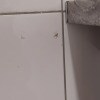 https://cdn-ostrovok-ru-ion.test.edgekey.net/t/100x100/hotel_review/d8/87/d88798fbdfa8fdc4e4b67a4c112207f1f59e55e8.JPEG