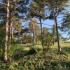https://cdn-ostrovok-ru-ion.test.edgekey.net/t/100x100/hotel_review/d8/8b/d88b89f1053eeda0de3669310156a076c28aecdc.JPEG
