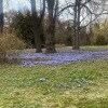 https://cdn-ostrovok-ru-ion.test.edgekey.net/t/100x100/hotel_review/d8/c6/d8c698fb73c5e5d52eaabaa154b859db3b13b911.JPEG