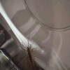 https://cdn-ostrovok-ru-ion.test.edgekey.net/t/100x100/hotel_review/d8/dc/d8dc499b4a6b81268f9141463bca615fdcea4428.JPEG