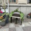 https://cdn-ostrovok-ru-ion.test.edgekey.net/t/100x100/hotel_review/d9/15/d915dd0f147d07dea2f4a90cd9f75e92eb153847.JPEG
