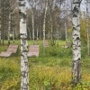 https://cdn-ostrovok-ru-ion.test.edgekey.net/t/100x100/hotel_review/d9/19/d919264b1243c215ce5605ffa4507e6ce561c222.JPEG