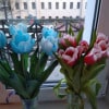 https://cdn-ostrovok-ru-ion.test.edgekey.net/t/100x100/hotel_review/d9/1b/d91b0ead76e290e90df599935043564f8c62eb78.jpeg
