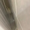 https://cdn-ostrovok-ru-ion.test.edgekey.net/t/100x100/hotel_review/d9/4a/d94afb76919977e752003a84139eaee89b70105e.JPEG