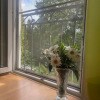 https://cdn-ostrovok-ru-ion.test.edgekey.net/t/100x100/hotel_review/d9/58/d958a58511c72bb017b60f2c8995e050531e9736.JPEG