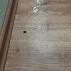 https://cdn-ostrovok-ru-ion.test.edgekey.net/t/100x100/hotel_review/d9/6c/d96cd6ef9e5d1789cc3a7ac2e7b5f1e608a7ed53.jpeg