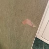https://cdn-ostrovok-ru-ion.test.edgekey.net/t/100x100/hotel_review/d9/bb/d9bb632f675924d7bfd208f8fd86c4f1e76f55b7.JPEG