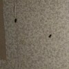 https://cdn-ostrovok-ru-ion.test.edgekey.net/t/100x100/hotel_review/d9/c1/d9c10cb4e1553a3a6c85cebd2a96a74effdd7bf2.JPEG