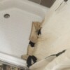 https://cdn-ostrovok-ru-ion.test.edgekey.net/t/100x100/hotel_review/d9/c8/d9c8779312fafe52e74eb439e2c2b77958634e7d.JPEG