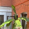 https://cdn-ostrovok-ru-ion.test.edgekey.net/t/100x100/hotel_review/da/24/da245352f0d3c73fa0fc373b0698f70db4893e04.JPEG