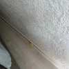https://cdn-ostrovok-ru-ion.test.edgekey.net/t/100x100/hotel_review/da/36/da360679ce5f3641812f5fb3cda5632138033744.JPEG