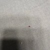 https://cdn-ostrovok-ru-ion.test.edgekey.net/t/100x100/hotel_review/da/ec/daecf8435332556b17727a7cbb7cd63eec4f5c5c.JPEG