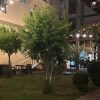 https://cdn-ostrovok-ru-ion.test.edgekey.net/t/100x100/hotel_review/db/32/db325995dc366fbcad0f3d56b699b8f39b7e1102.JPEG