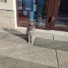https://cdn-ostrovok-ru-ion.test.edgekey.net/t/100x100/hotel_review/db/96/db967c6b81df15dff90fc458d92de9828244bac8.JPEG
