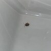 https://cdn-ostrovok-ru-ion.test.edgekey.net/t/100x100/hotel_review/db/97/db975325eaaf62e6287d1949778a2c1e085e2abf.jpeg