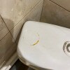 https://cdn-ostrovok-ru-ion.test.edgekey.net/t/100x100/hotel_review/db/b2/dbb2013c40fdf52b4380432ddf6527b259188a52.JPEG