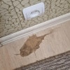 https://cdn-ostrovok-ru-ion.test.edgekey.net/t/100x100/hotel_review/dc/00/dc00d71f35c1a1f7c30398104d121670bc42d6f0.JPEG