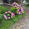 https://cdn-ostrovok-ru-ion.test.edgekey.net/t/100x100/hotel_review/dc/11/dc11df09b8d1297522f3ad62cf6eb671e950f152.JPEG