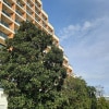 https://cdn-ostrovok-ru-ion.test.edgekey.net/t/100x100/hotel_review/dc/81/dc81054d588952823ac4e4bd05cc1f85770e2c06.JPEG