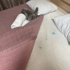 https://cdn-ostrovok-ru-ion.test.edgekey.net/t/100x100/hotel_review/dc/cb/dccb9342a47d016382b790984d3f9b2a8bd49e15.JPEG
