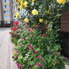 https://cdn-ostrovok-ru-ion.test.edgekey.net/t/100x100/hotel_review/dc/ee/dcee4fa1d605526f1fb299f308c887d2247192c5.JPEG