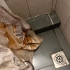 https://cdn-ostrovok-ru-ion.test.edgekey.net/t/100x100/hotel_review/dd/14/dd1421b67dec97d44a692be72cbb8361000ecee0.JPEG
