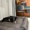 https://cdn-ostrovok-ru-ion.test.edgekey.net/t/100x100/hotel_review/dd/1c/dd1cfeb1809038906363c927eac4915e0f3e8ba4.JPEG