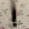https://cdn-ostrovok-ru-ion.test.edgekey.net/t/100x100/hotel_review/dd/20/dd20af224931d938f3a658668ae9edb4ff3ce835.JPEG