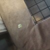 https://cdn-ostrovok-ru-ion.test.edgekey.net/t/100x100/hotel_review/dd/59/dd593c9a4f49365158619bdc6ea8120764681286.JPEG