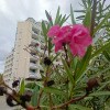 https://cdn-ostrovok-ru-ion.test.edgekey.net/t/100x100/hotel_review/dd/99/dd99738642c67be5a56e267d6fcab995543d6df1.JPEG