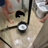 https://cdn-ostrovok-ru-ion.test.edgekey.net/t/100x100/hotel_review/dd/aa/ddaa1dbd38c0afa5f4d02b946d0e2f488abcab9a.JPEG