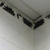 https://cdn-ostrovok-ru-ion.test.edgekey.net/t/100x100/hotel_review/de/1b/de1b2796045ba810d3f8ddbd6770944e6b66c1d3.jpeg