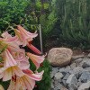 https://cdn-ostrovok-ru-ion.test.edgekey.net/t/100x100/hotel_review/de/28/de2831d30b68334639e62fcbe9809ceaa6604c0f.JPEG