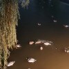 https://cdn-ostrovok-ru-ion.test.edgekey.net/t/100x100/hotel_review/de/44/de448b8dcb4283ea6cb4432e9a8cef25c8dd0659.jpeg