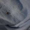 https://cdn-ostrovok-ru-ion.test.edgekey.net/t/100x100/hotel_review/de/90/de902491d5a857a1f775cb1cfc1a3f56665aaad3.jpeg