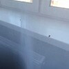 https://cdn-ostrovok-ru-ion.test.edgekey.net/t/100x100/hotel_review/de/b3/deb3ed505596d186d5d2384b9ffc0234e9d85730.JPEG