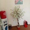 https://cdn-ostrovok-ru-ion.test.edgekey.net/t/100x100/hotel_review/de/cf/decf4b4822a203b290532d23e74586d74da7a838.JPEG