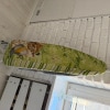 https://cdn-ostrovok-ru-ion.test.edgekey.net/t/100x100/hotel_review/de/e2/dee2973450f25942105a0d5a9b8d574a99693a5e.PNG