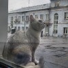 https://cdn-ostrovok-ru-ion.test.edgekey.net/t/100x100/hotel_review/df/48/df48631ce935abc7fc6b4be2fff398c9deaba913.JPEG