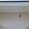 https://cdn-ostrovok-ru-ion.test.edgekey.net/t/100x100/hotel_review/df/82/df8213400d86709f4384c807620ad953f50cccc9.jpeg