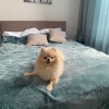 https://cdn-ostrovok-ru-ion.test.edgekey.net/t/100x100/hotel_review/df/85/df85d8356df3be379c66dc3bd6ca4d1c147e55d8.JPEG